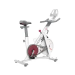 دوچرخه ثابت ورزشی شیائومی مدل Yesoul Bike S3