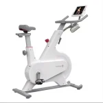 دوچرخه ثابت ورزشی شیائومی مدل Yesoul Bike M1