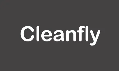 Cleanfly -LOGO